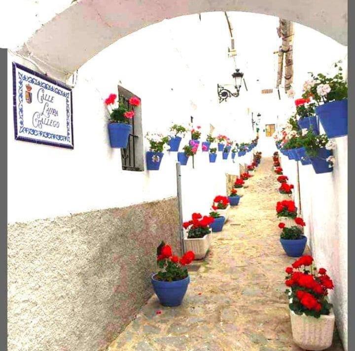 Apartmán Casa Pepa Algar  Exteriér fotografie