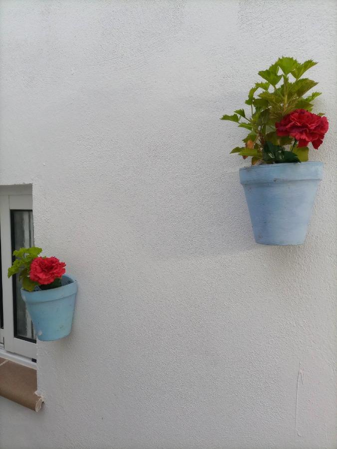 Apartmán Casa Pepa Algar  Exteriér fotografie