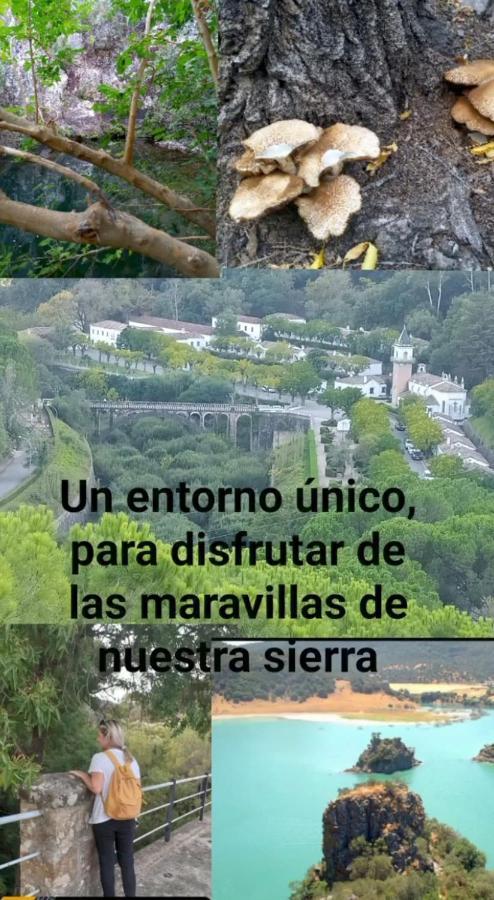 Apartmán Casa Pepa Algar  Exteriér fotografie